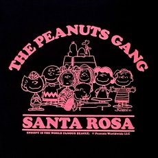 画像3: BUDDY別注 PEANUTS スヌーピー Tシャツ PEANUTS SECRETBASE限定カラー (3)